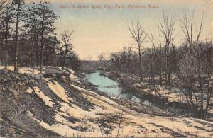 Oelwein Iowa City Park Scenic View Antique Postcard K81349