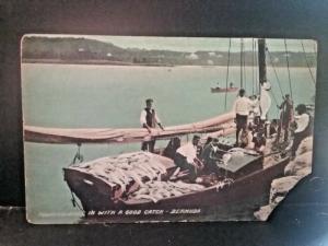 Postcard Fishing Boat In With A Good Catch, Bermuda  Z3