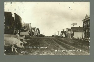 Hitchcock SOUTH DAKOTA RP 1912 MAIN STREET Add On PIGS Exaggeration nr Huron