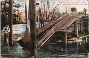 Taking Logs up to Mill to be Saved Into Lumber Pensacola Florida Postcard C085