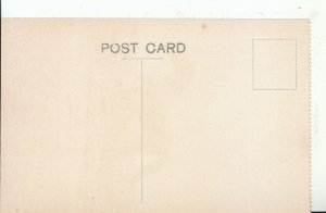 Norfolk Postcard - The Pergola - Sandringham - Ref 16497A