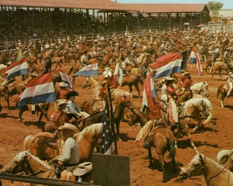 Grand Entry Texas Cowboy Reunion Stamford Texas Amateur Rodeo Vintage Postcard