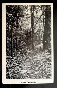 Vintage Postcard 1953 Wooded Scene, Elroy, Wisconsin (WI)