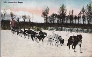 Alaska Dog Team in Alaska Vintage Postcard C070