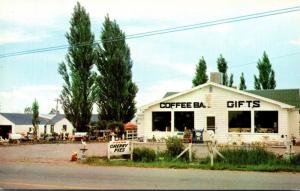 Colorado Lake Loveland Nifty Gift Shop