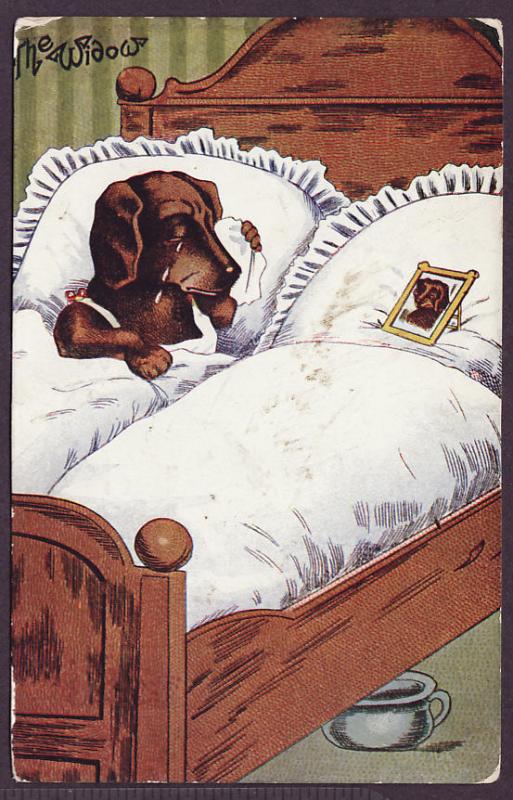 Dog unused postcard