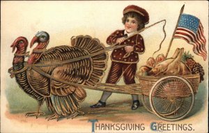 Thanksgiving Little Boy with Turkey Drawn Cart Patriotic c1910 Vintage Postcard