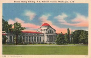 1954 U.S. National Museum Washington D.C. Postcard 2R5-305