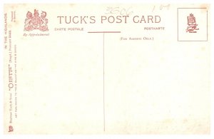 Sheep in Highlands in Winter