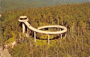 Clingman's Dome 6643 Cherokee, North Carolina NC  