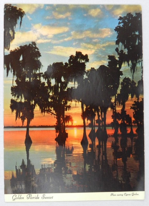 Golden Florida Sunset in the Florida Marshes - Vintage Postcard 
