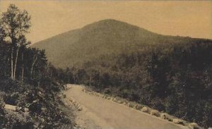 Maine Bar Harbor The Mountain Road Acadia National Park Albertype