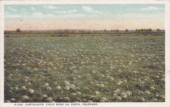 Cantaloupe Field Near La Junta California Fred Harvey