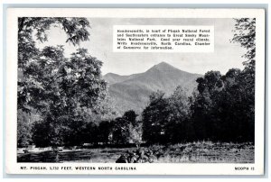 c1940's Hendersonville Mt. Pisgah Western North Carolina NC Postcard 