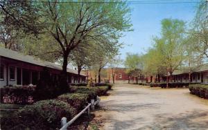 Ames Iowa IA 1960s Chrome Postcard Colonial Motel