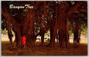 Honolulu Hawaii 1950-60s Postcard Pretty Girl Leaning On Banyan Tree