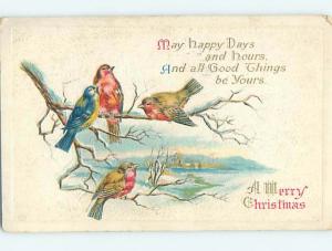 Pre-Linen christmas LOTS OF CUTE BIRDS SITTING ON BRANCH BESIDE THE WATER hr2754