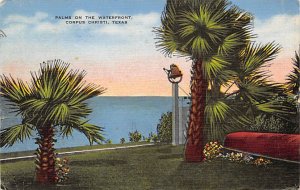 Palms On The Waterfront - Corpus Christi, Texas TX  