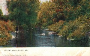 Vintage Postcard 1905 River Fishing near Sussex N.B. New Brunswick Canada