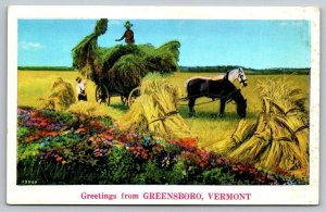 Greetings From  Greensboro  Vermont   Postcard  c1915