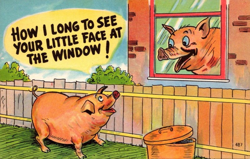 Pigs How I Long To See Your Little Face At The Window