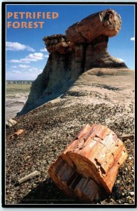 Postcard - Pedestal logs - Petrified Forest National Park, Arizona