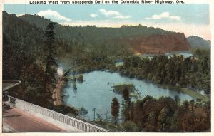 Vintage Postcard 1920's Looking West From Shepperds Dell Columbia River Oregon