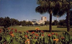 Panorama of Busch Gardens - Tampa, Florida FL  