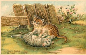 Embossed Postcard Ser. 220, Gray & Brown Tabby Cats Play Fighting, Gold Details