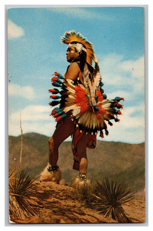 Postcard Colorful Indian Native American 