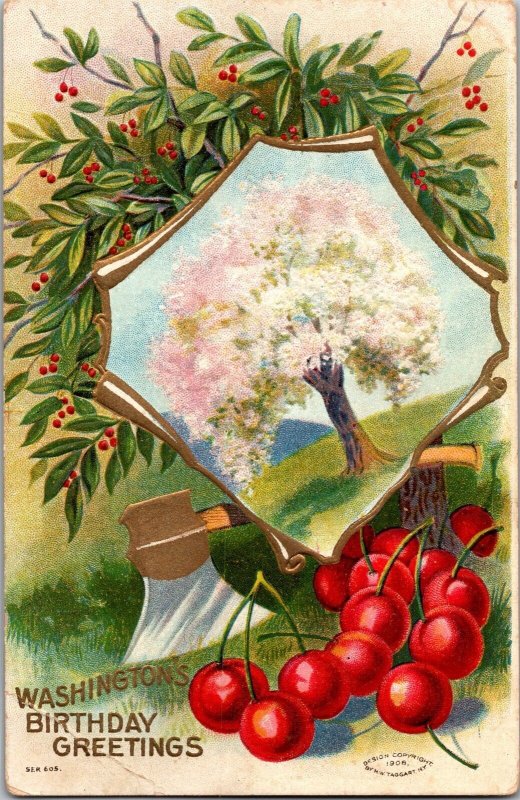 Washington's Birthday, Hatchet Cherries Blossoms Embossed Vintage Postcard N60