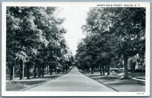 NAPLES NY NORTH MAIN STREET ANTIQUE POSTCARD 