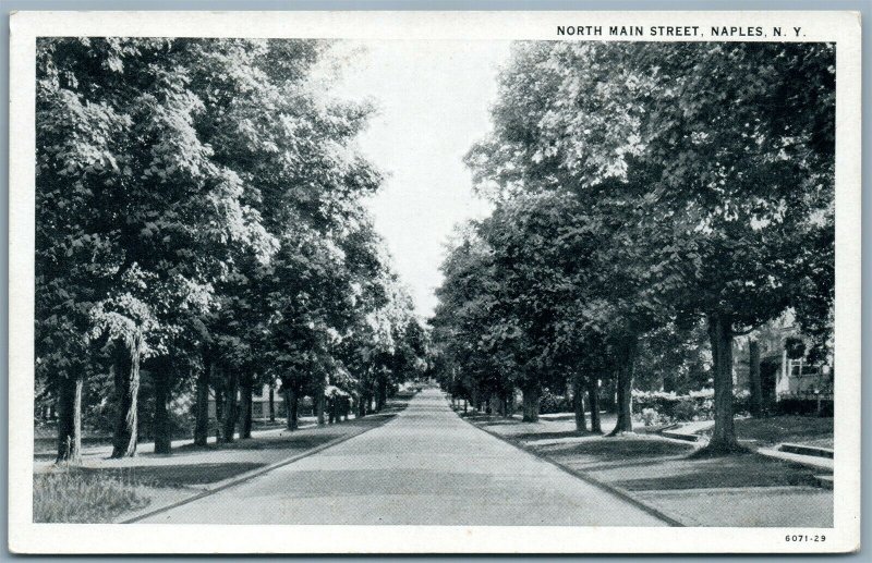 NAPLES NY NORTH MAIN STREET ANTIQUE POSTCARD 