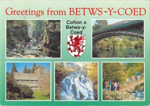 BR90178 greetings from betws y coed cofion o betws y coed  wales