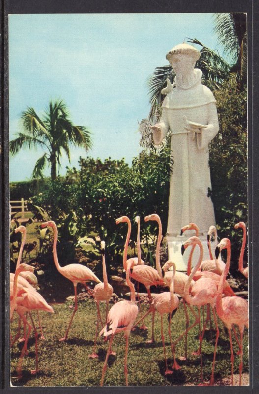 Flamingoes,Statue of St Francis of Assisi,Miami's Rare Bird Farm,FL