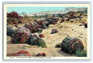 Vintage The Petrified Forest, Near Adamana, Arizona. Postcard P60E