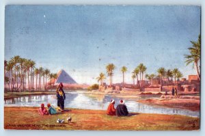 Egypt Postcard Arab Village Near The Pyramids c1910 Oilette Tuck Art