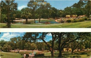 Longwood Florida Sanlando Springs recreation Park Postcard Robinson 20-11107