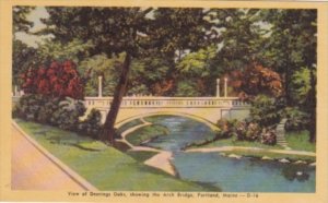 Maine Portland View Of Deerings Oaks Showing The Arch Bridge Dexter Press