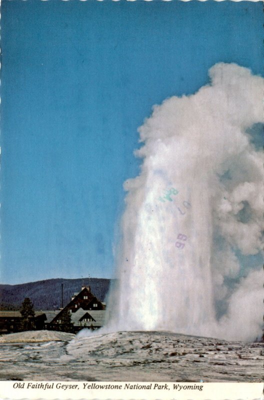 Old Faithful Geyser, Yellowstone National Park, Wyoming, Utah postcard Postcard