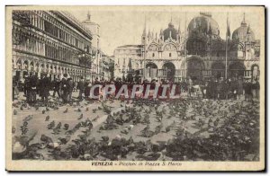 Old Postcard Venezia Piccioni in Piazza di S. Marco