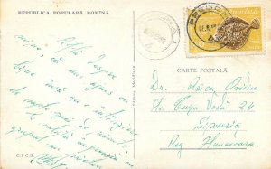 Europe Romania Vedere Postcard RPR Masivul Postavaru