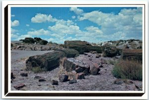 Giant Logs At the Rainbow Forest Museum, Petrified Forest National Park - AZ