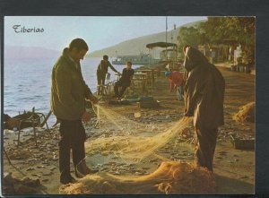 Israel Postcard - Tiberias, Sea of Galilee, Fishermen Drawing Nets   RR6583