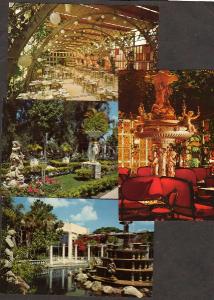 FL Lot 4 Kapok Tree Inn CLEARWATER FLORIDA Postcards