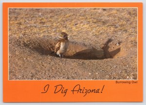 Arizona~I Dig Arizona Burrowing Owl~Continental Postcard