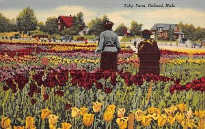 Tulip Farm Every Year In May  - Holland, Michigan MI