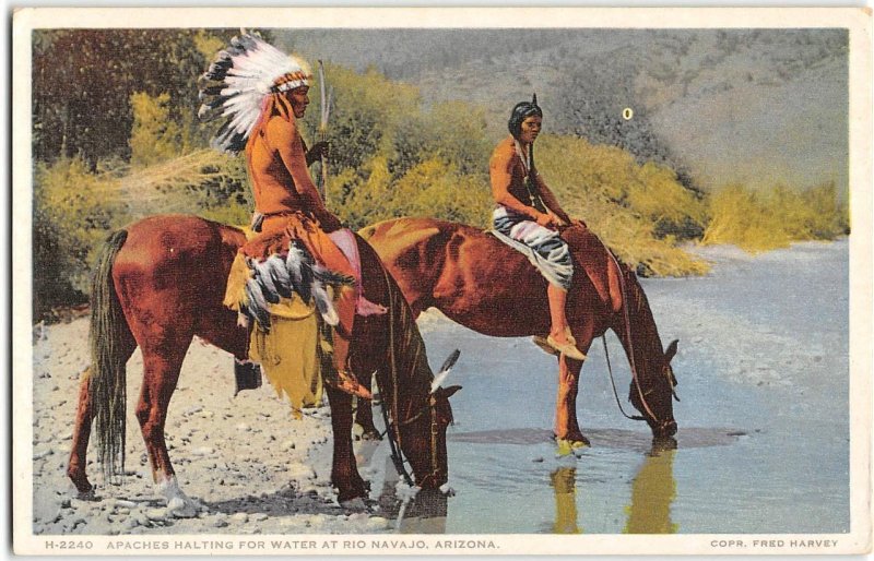Apache Indians Horses Rio Navajo, AZ Native Americana 1910s Fred Harvey Postcard