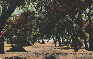 USA Avenue Of Live Oaks Fortress Monroe Virginia Vintage Postcard 08.97