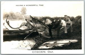 COBDEN ONT. CANADA FISHING EXAGGERATED ANTIQUE REAL PHOTO POSTCARD RPPC